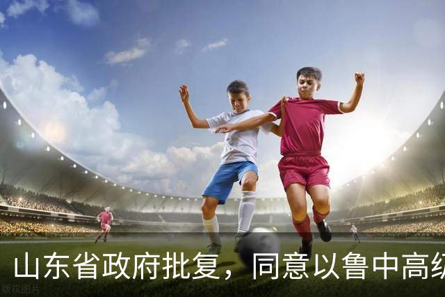 山东省政府批复，同意以鲁中高级技工学校为基础设立鲁中技师学院