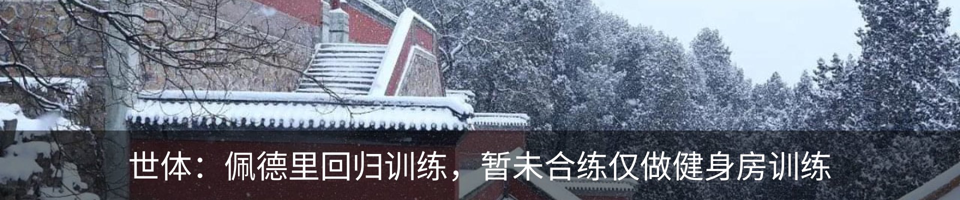 最新动态