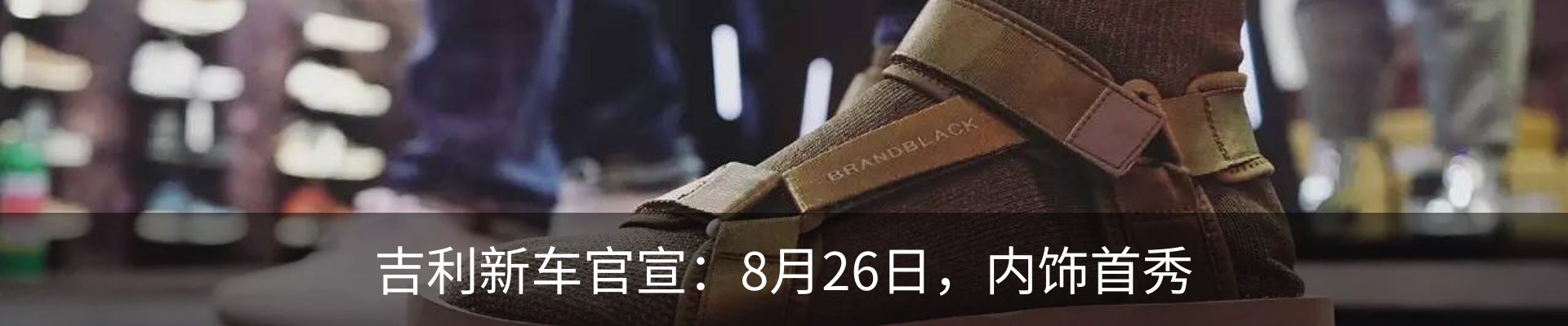 最新动态
