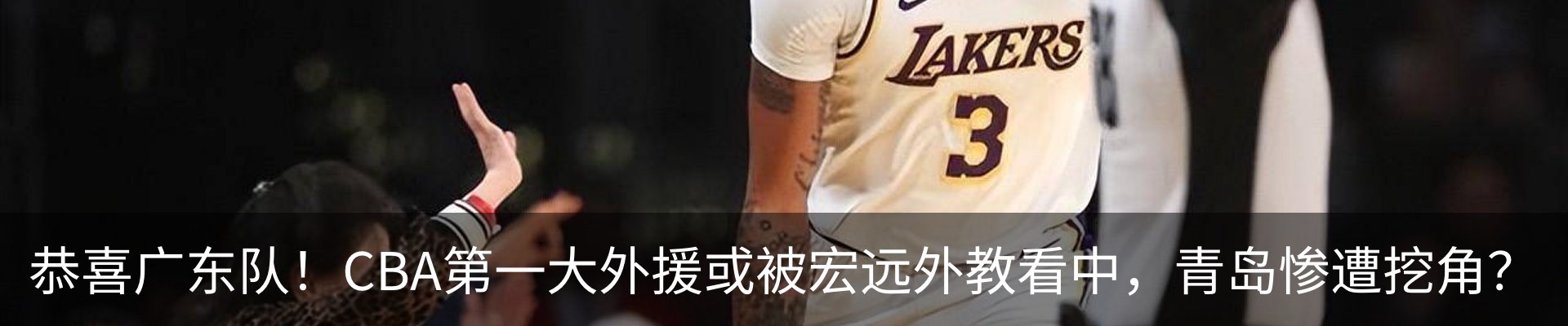 最新动态