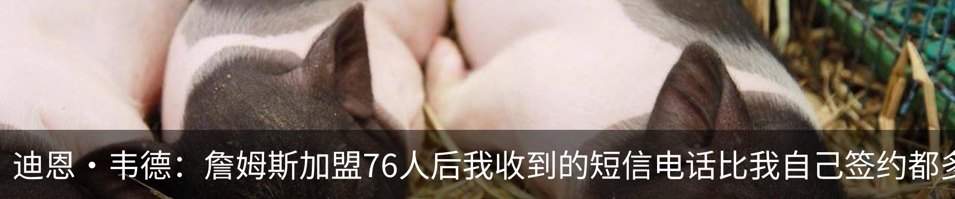 最新动态