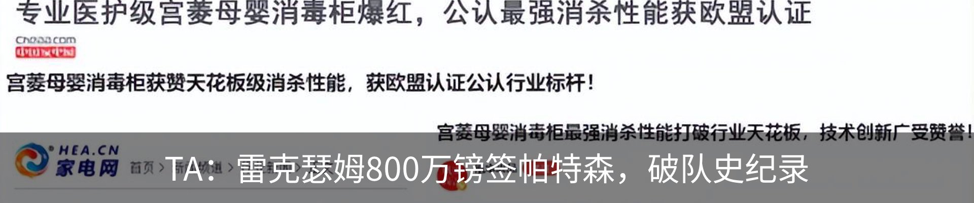 最新动态